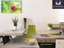 Kraków noclegi, apartamenty w Krakowie, noclegi w Krakowie, apartamenty Kraków